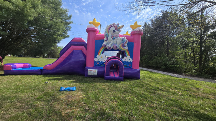 Mystic Mane Deluxe Bounce House