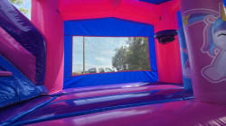 20250419 143417 1748553286 Mystic Mane Deluxe Bounce House