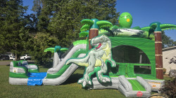 Dino Adventure (dry)