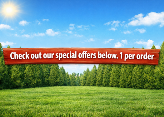 Special offers under sunny skies